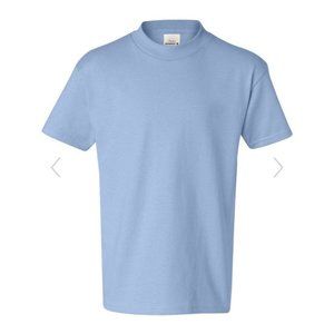 Hanes Cotton T-Shirt (5450)-Light Blue-YM